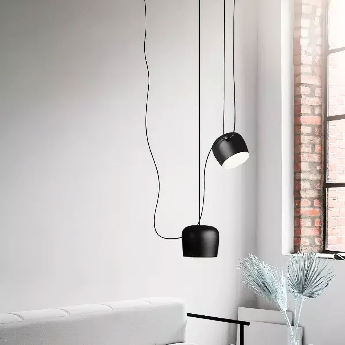 Where to Buy a Sebo Vacuum Cleaner in Northern Ireland